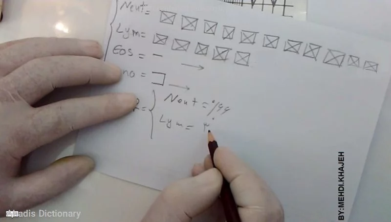 differentiated leukocytes count